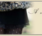 Leopard coat and black lace skirt | 892 Views | Fame 10.49