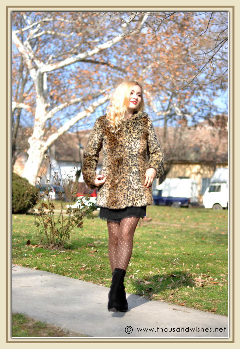 02_leopard_coat