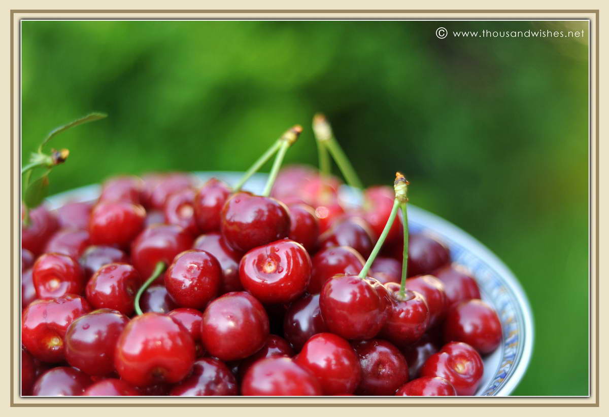 01_cherry
