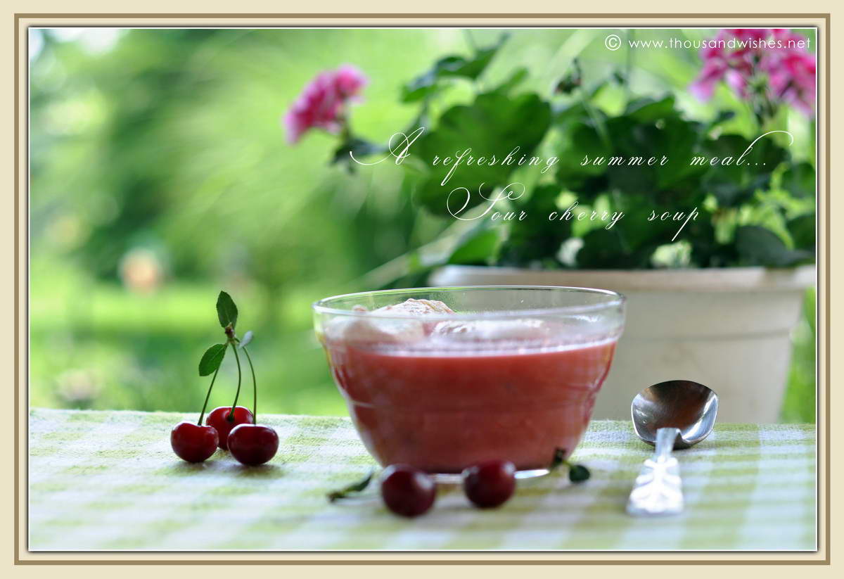 01_sour_cherry_soup