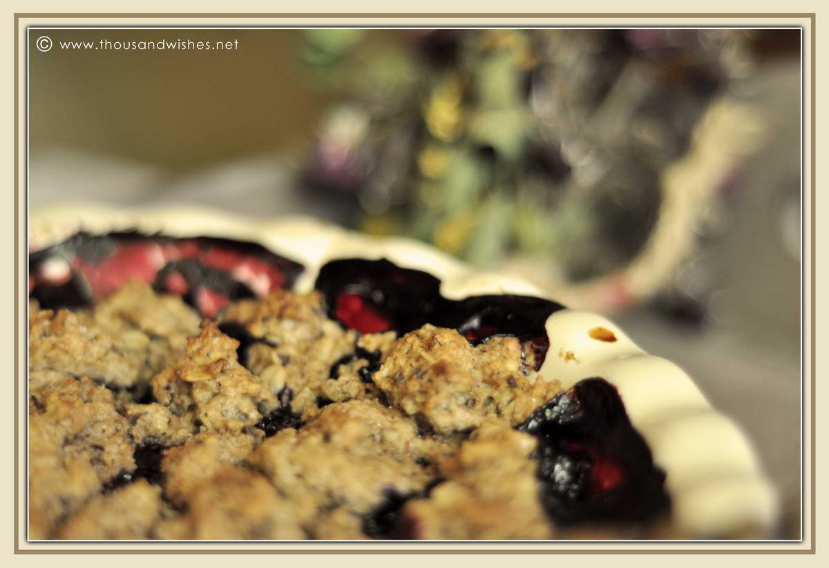 06_blueberry_walnuts_chocolate_cobbler