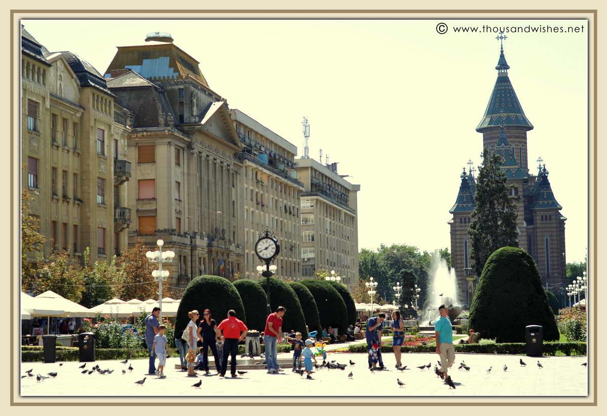 15_timisoara